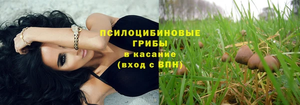 экстази Алексин