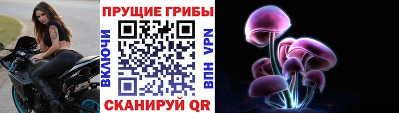 Галлюциногенные грибы Magic Shrooms  МЕГА ССЫЛКА  Оханск 